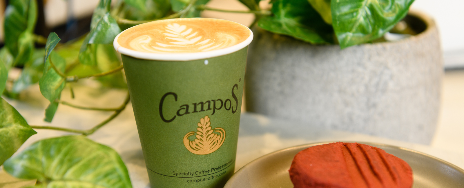 Campos coffee near me deals